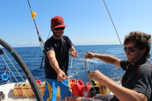 Hamilton Island delivery